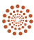 orange burst bullet