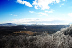 Frozen trees on Interstate 64 in 2007.