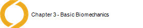   Chapter 3 - Basic Biomechanics