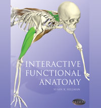 Primal Pictures Interactive Functional Anatomy